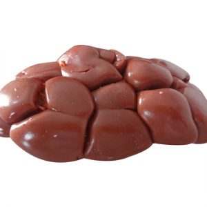 ox-kidney